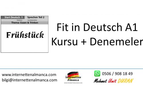 Fit in Deutsch A1 Kursu + Denemeler